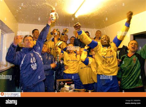 Bedlington Football High Resolution Stock Photography and Images - Alamy