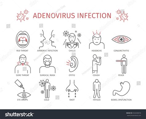 Adenovirus Infection Symptoms Treatment Line Icons Stock Vector ...