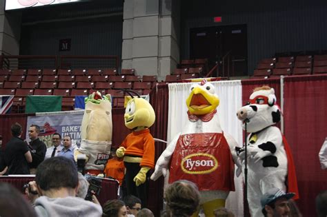 Giving college mascots silly superlatives – Massachusetts Daily Collegian