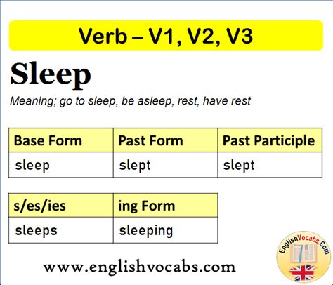 Sleep Past Simple, Past Participle, V1 V2 V3 Form of Sleep - English Vocabs