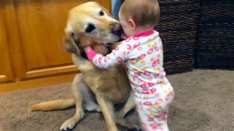 Cute Dogs Protecting & Playing With Babies 2020 - YouTube