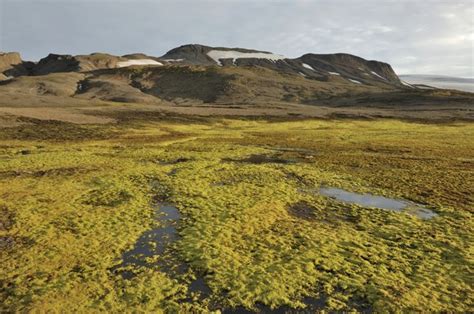 Landforms of the Tundra | Sciencing