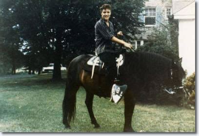 Elvis Presley : Rising Sun and other Horses at Graceland | Elvis Articles