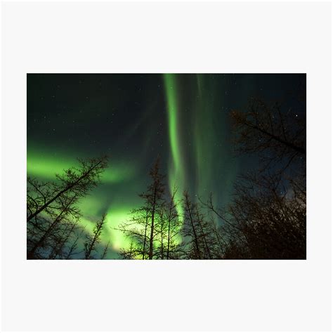 "Yukon Northern Lights 1" Photographic Print by philhart | Redbubble