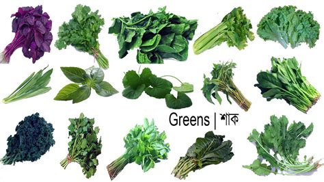 Types Of Green Leafy Vegetables