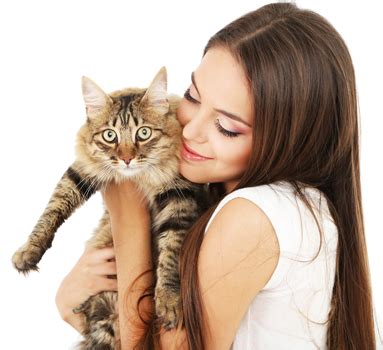 Cuddling Kitty – On Their Terms | Hall Veterinary Surgery