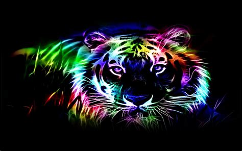 🔥 Free Download Colorful Tiger Hd Wallpaper by @klopez55 | WallpaperSafari