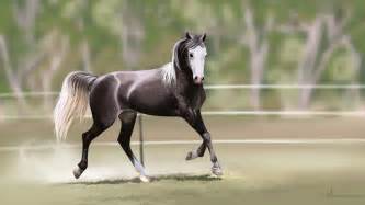 Grey Arabian Horse by Sev4 on Newgrounds