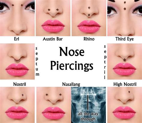 Everything You Need to Know About Piercings | Nose piercings, Piercings and Piercing