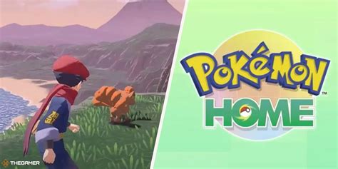 Pokemon Home: All Of The Switch Research Tasks And How To Complete Them