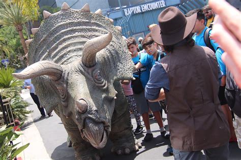 You can now meet a Triceratops at Universal Studios Hollywood : r/JurassicPark