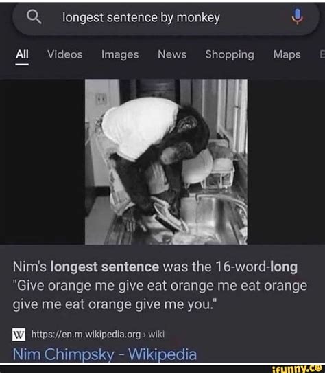 Longest sentence by monkey All Videos Images News Shopping Maps Nim's ...