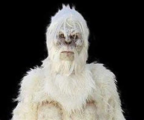 "The Abominable Snowman" Professional Costume | Halloween Costumes ...