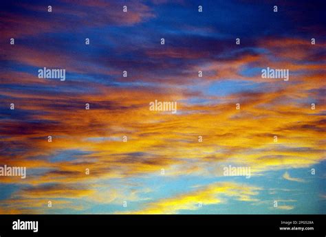 Sky. Cirrus clouds at sunset Stock Photo - Alamy