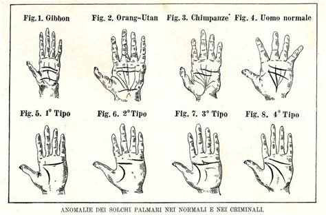 Cesare Lombroso, Crime, and Atavism - Criminology Web