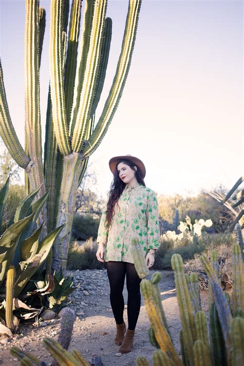 California Cactus - Noelle's Favorite Things