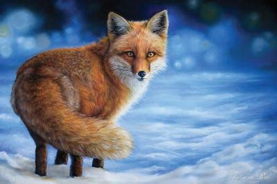 Snowy Fox Canvas Art Print by Tatjana Bril | iCanvas