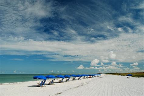 8 Amazing Beaches near New Port Richey, FL – Wild