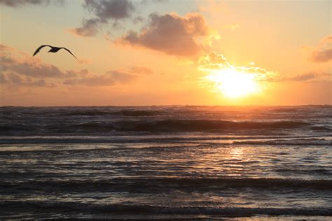 Fotos gratis : playa, mar, costa, Oceano, horizonte, amanecer, puesta de sol, luz de sol, aire ...