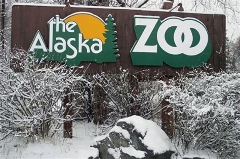 Banish The Winter Darkness At The Holiday Themed Zoo Lights In Alaska