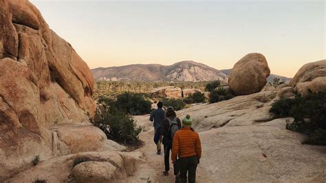 Joshua Tree National Park Hiking & Camping | REI Adventures