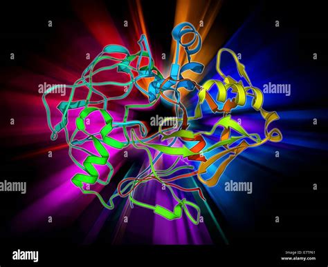 Pepsin enzyme model hi-res stock photography and images - Alamy