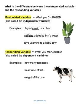 Manipulated Variable Definition