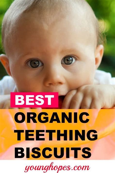 Best Organic Teething Biscuits for Babies • | Parenting, Children, Healthy meals for kids