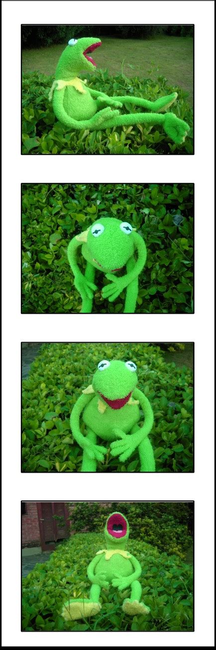 Kermit plushie by BluestWaves on DeviantArt