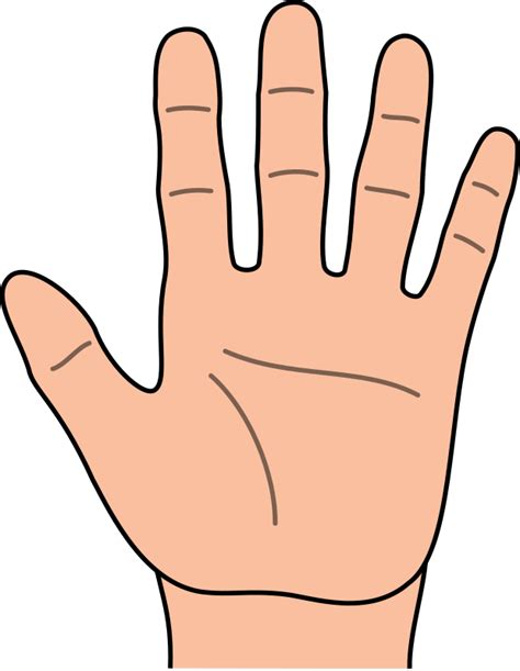 Free Cartoon Hands Cliparts, Download Free Cartoon Hands Cliparts png images, Free ClipArts on ...