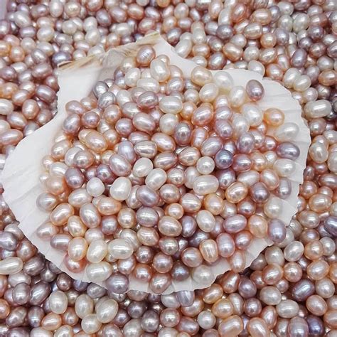 2021 Natural Freshwater Pearls Oyster No Hole 5 6mm Bright Rice Shaped ...