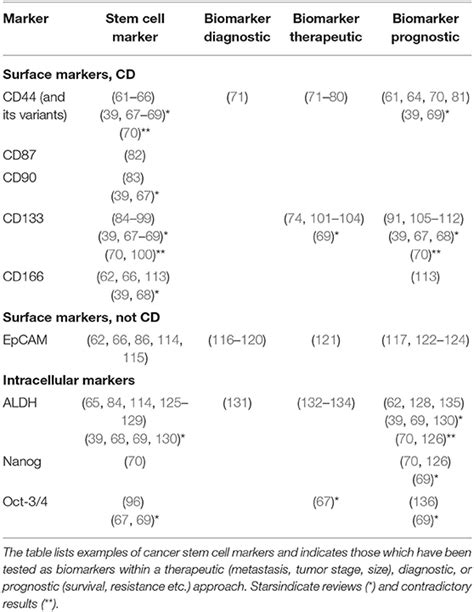 Frontiers | Cancer Stem Cells—Origins and Biomarkers: Perspectives for ...