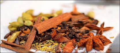 Mandi Spices – BharatQ8