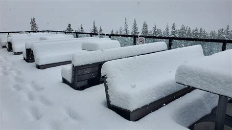 Snow what? Wild June weather wallops western Alberta, tourists rescued ...