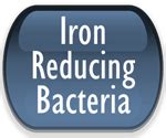 Test for Iron Reducing Bacteria in Drinking Water – drinkingwaterlabs.com