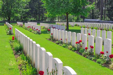 #RememberThem: What you need to know about the poppy | News