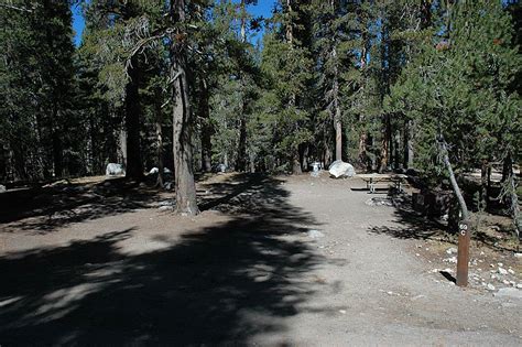 Tuolumne Meadows - Campsite Photos, Campsite Availability Alerts & Info | Tuolumne meadows ...