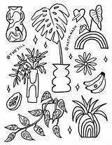 11  Top Plant Coloring sketch template
