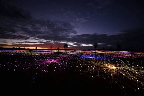 The Sensational “Field of Light” Installation Is Now on View in Paso ...