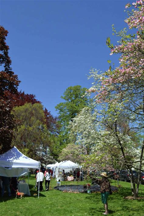 In Pictures: Dogwood Festival powers on in Fairfield