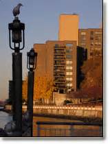 Roosevelt Island History & Fun Facts @ Roosevelt Island 10044 Tee ...