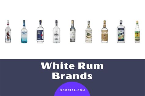 20 White Rum Brands For Your Next Cocktail Party - Soocial