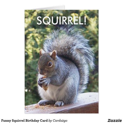 Funny Squirrel Birthday Card | Zazzle.com | Squirrel funny, Birthday cards, Squirrel