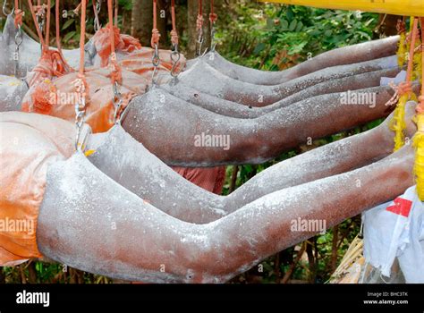 kavadi ; a temple festival from india Stock Photo: 27925987 - Alamy