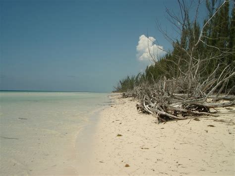 Gold Rock Beach, Bahamas | Places to go, Favorite places, Beach