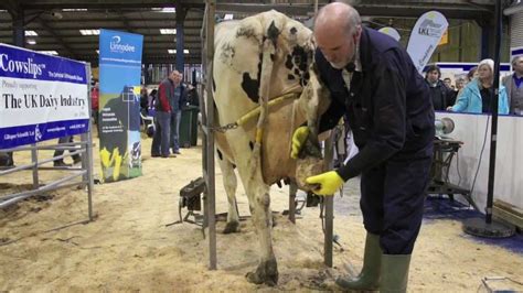 How to prevent cows going lame - Hoof Trimming Demo at AgriScot 2012 - YouTube