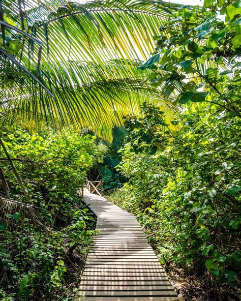 Tayrona National Park – The Green Adventurers