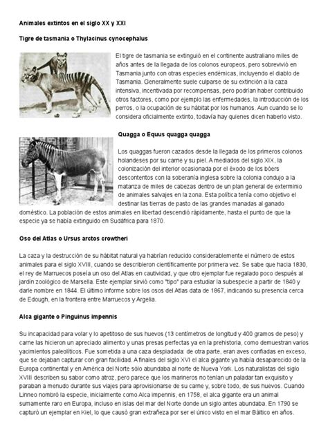 Animales Extintos en El Siglo XX y XXI | PDF | Conservación | Naturaleza