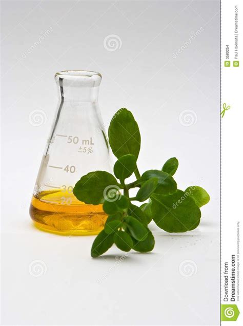 Natural chemistry stock photo. Image of chemistry, measurement - 3580254