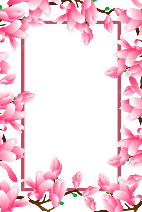 846 Background Flower Photo free Download - MyWeb